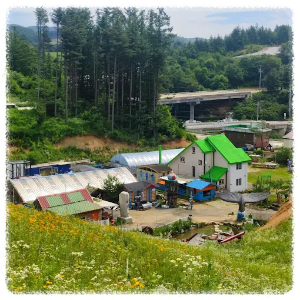 자연 속 동물 친구들과 함께 노는 시간! 대관령주주파크