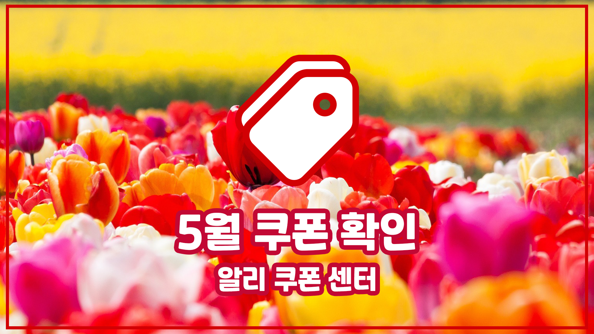 알리 5월 쿠폰