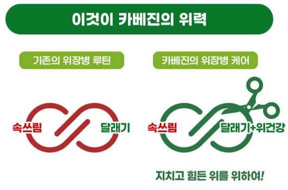 카베진-효능