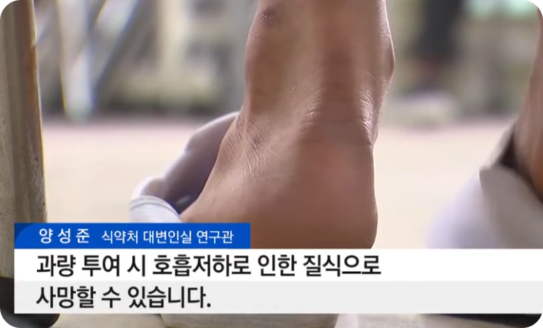펜타닐관련사진