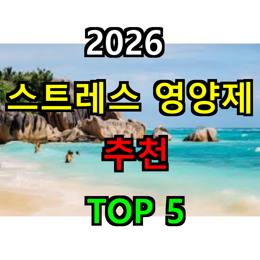 2026 스트레스 영양제 추천 TOP 5