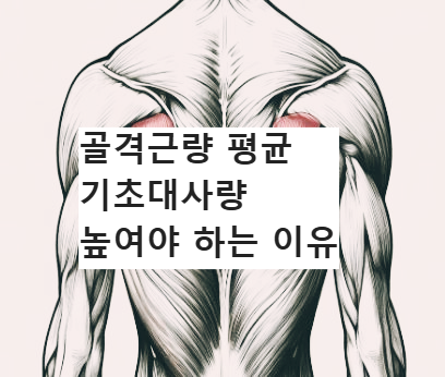 등근육사진