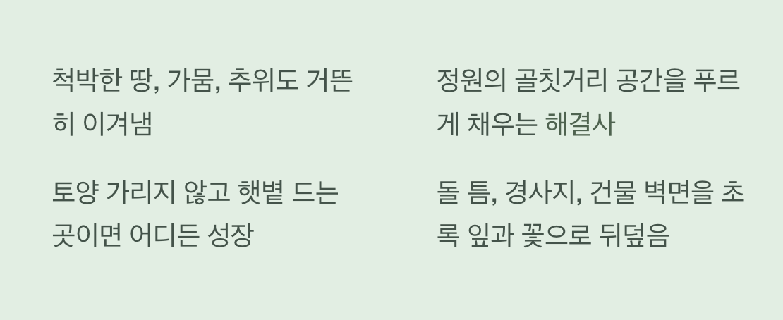 어디든 뿌리내리는 '잡초' 같은 생명력