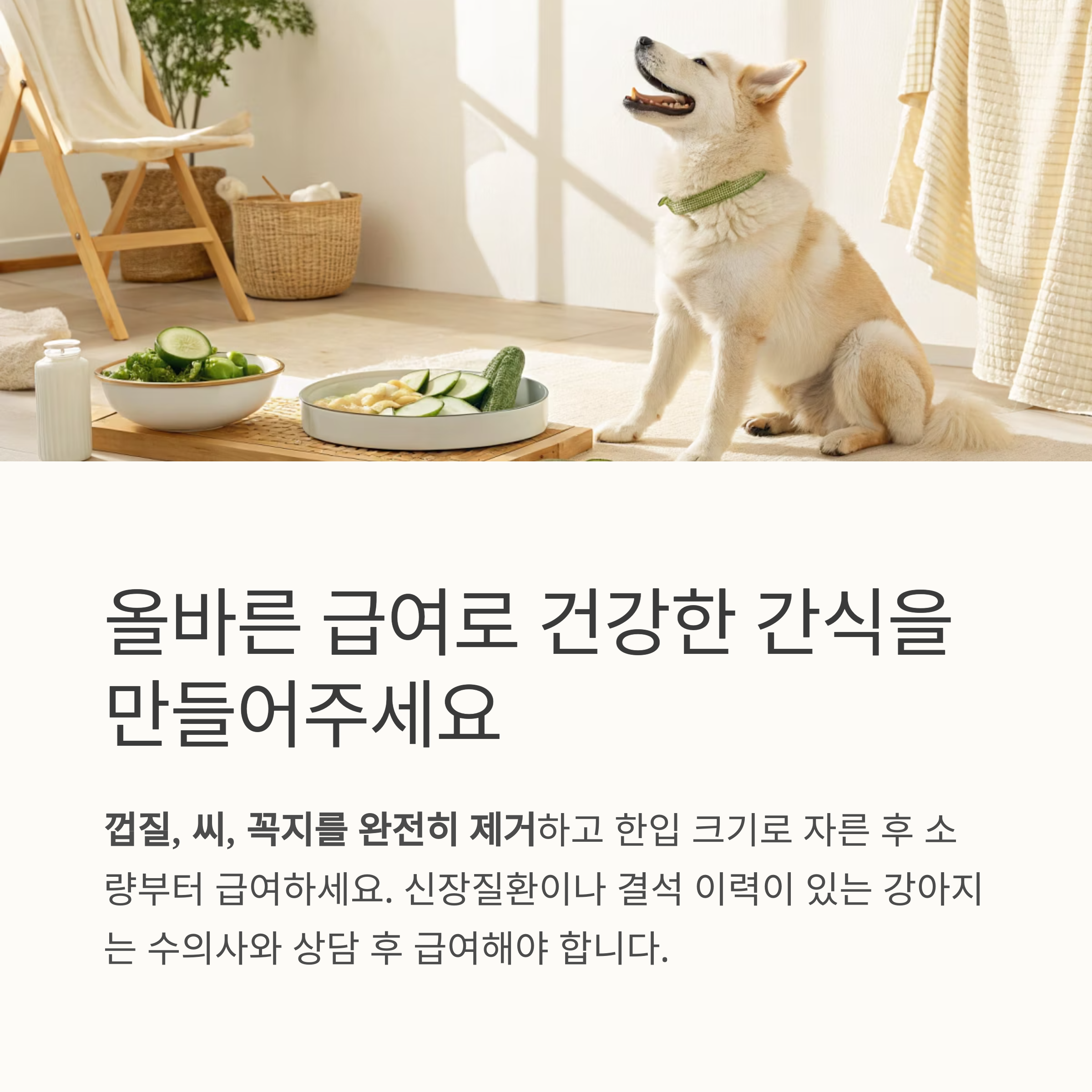 올바른 급여로 건강한 간식을 만들어 주세요