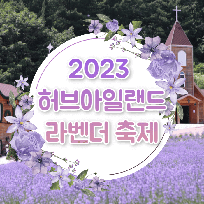 2023 포천 허브아일랜드 라벤더축제 입장료 주차 아이스크림 라떼