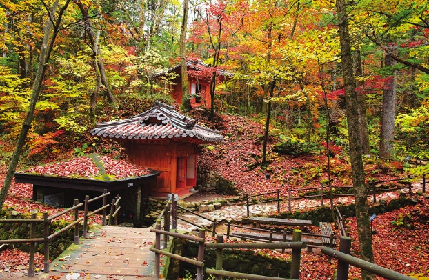 오대산 선재길 코스