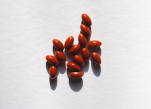 멀티비타민 추천