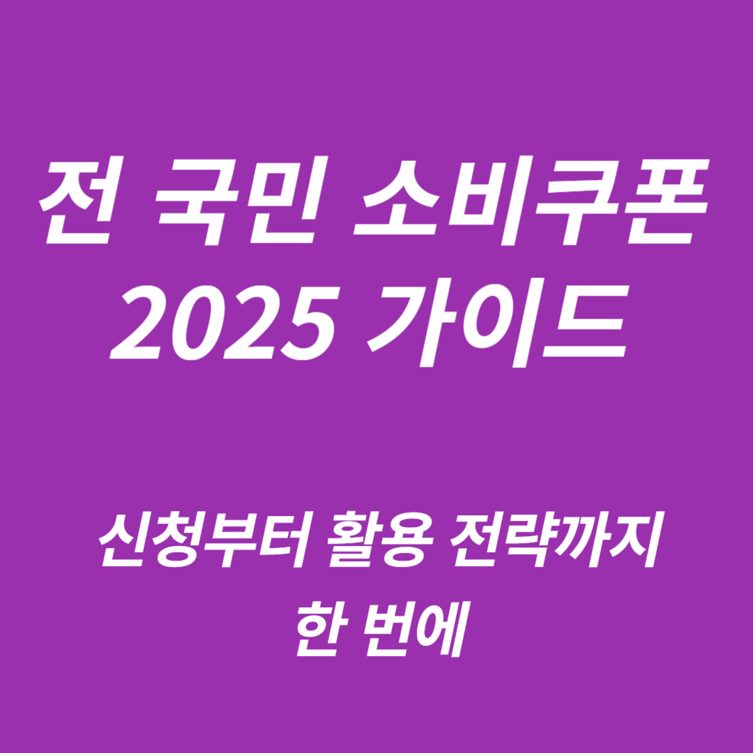 전 국민 소비쿠폰 2025