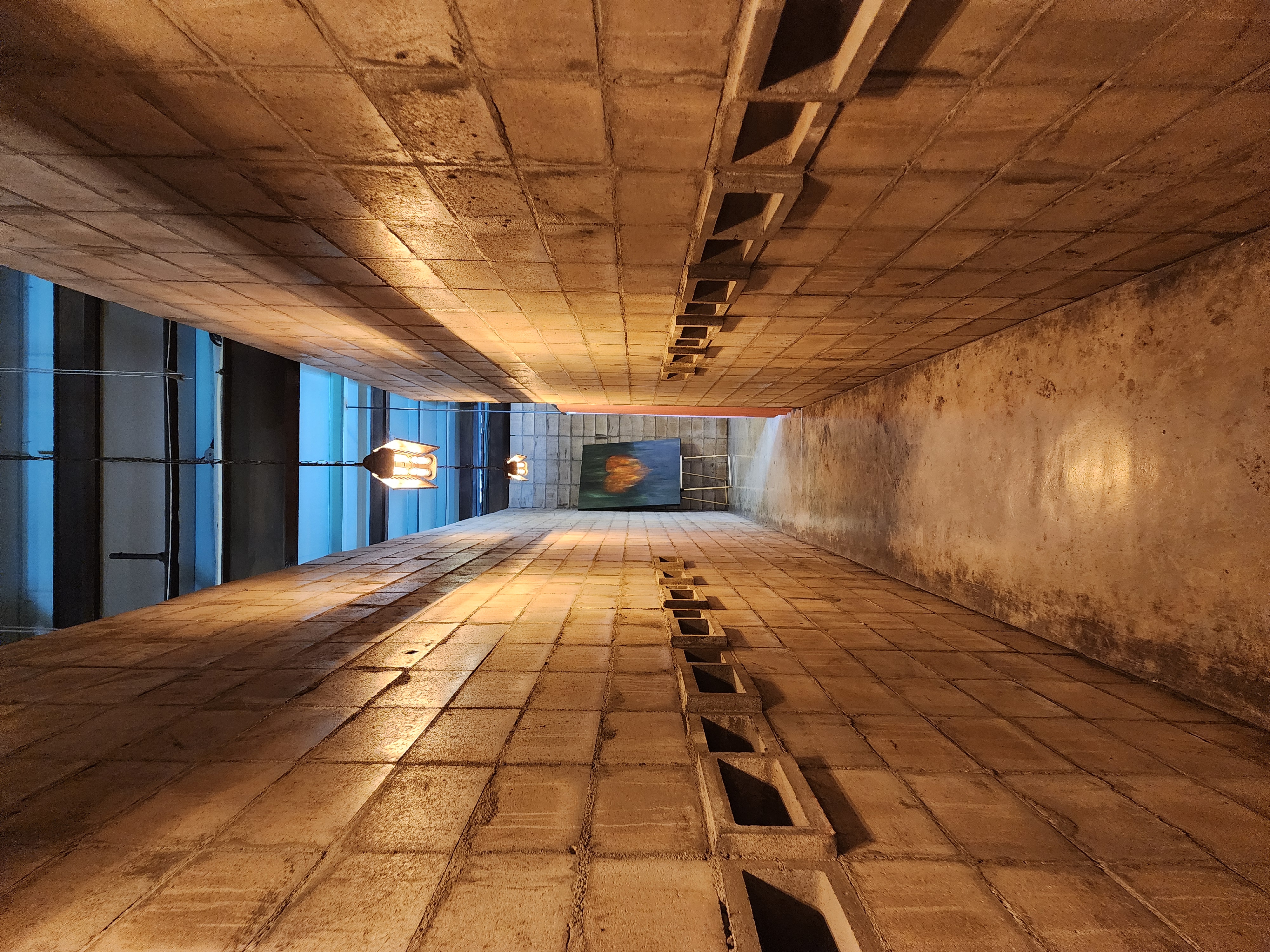 바리루스 in 파주