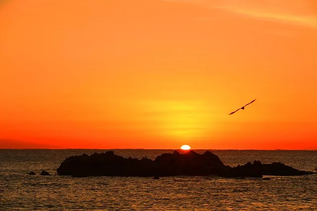 고구려 광개토대왕 주요 업적 의미 한국사_5