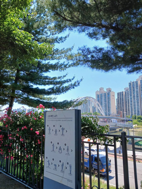 장미공원 이화교 보이다