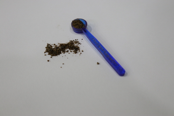 고양이치아관리