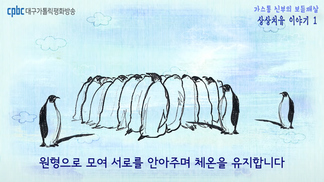 허들링으로 체온을 유지하는 펭귄 사진