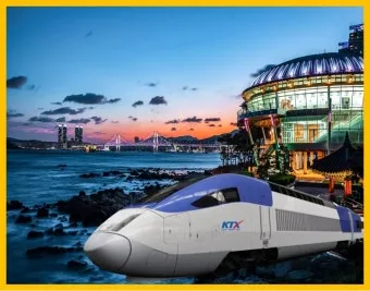 레츠코레일 회원 가입 방법_3