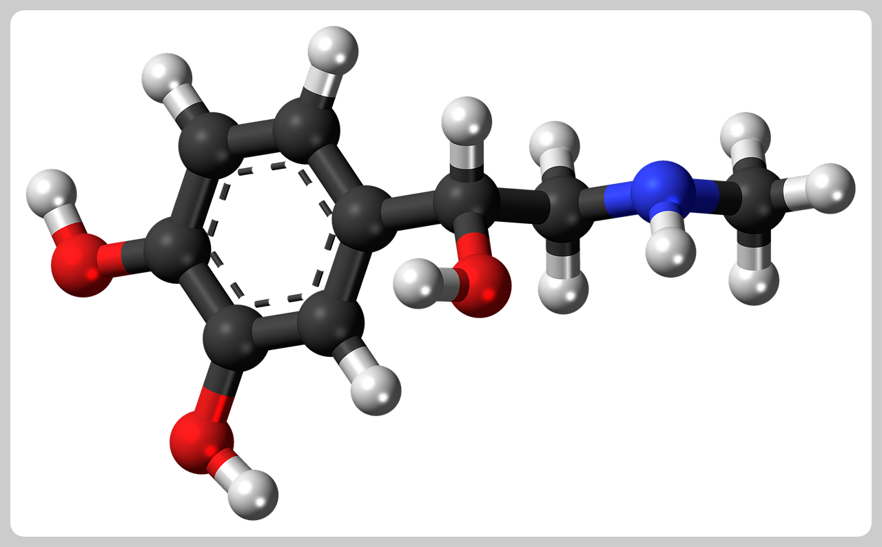 숙면을 취하는 방법