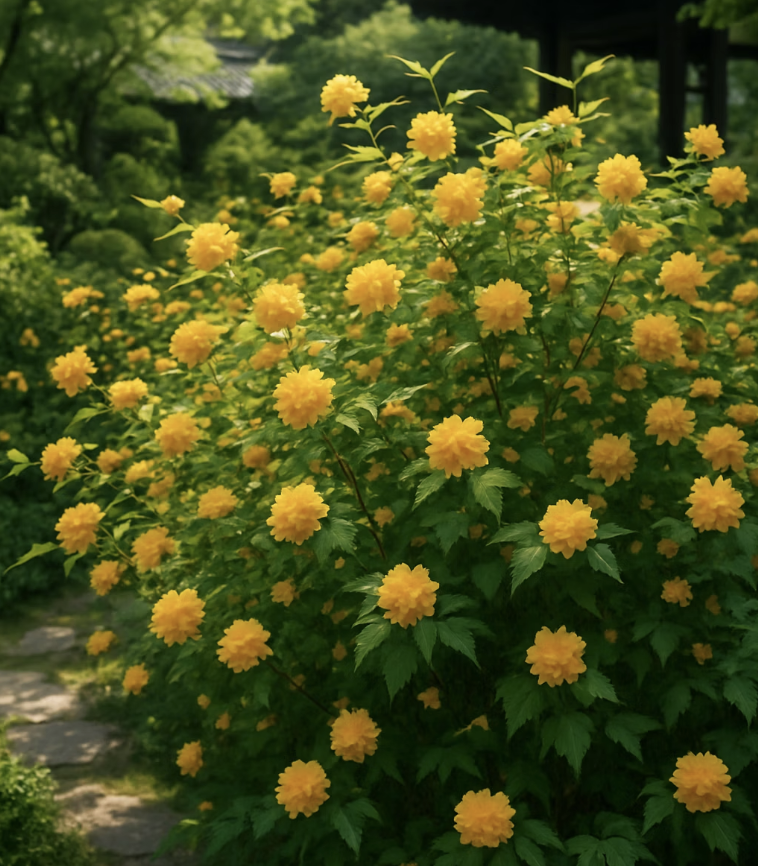 한 그루가 정원이 되는 마법