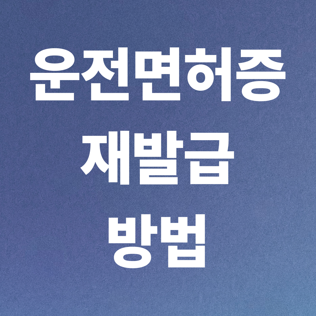 운전면허증 재발급 방법부터 비용