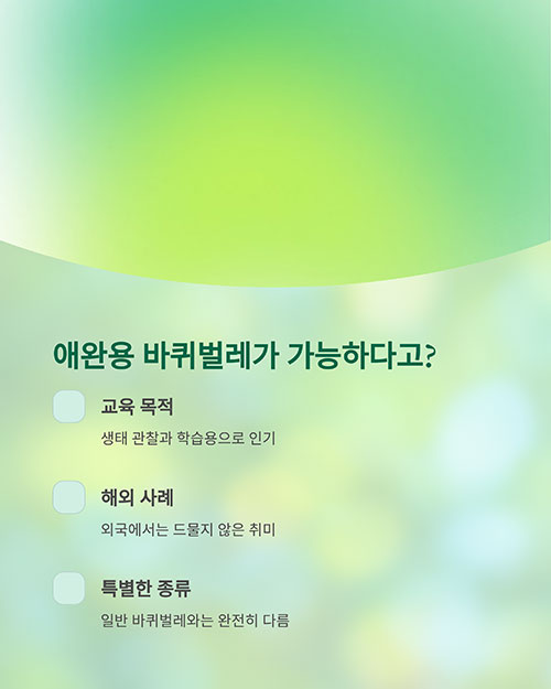 바퀴벌레를 집에서 기른다고? 가능성과 주의사항은?