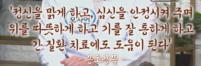 침향환 효능