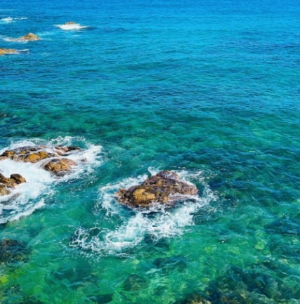 해외여행자-보험