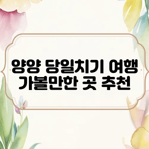 양양 당일치기 여행 가볼만한 곳 추천