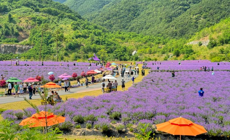 무릉별유천지, 그 이름처럼 ‘이 세상 아닌 듯한’ 풍경