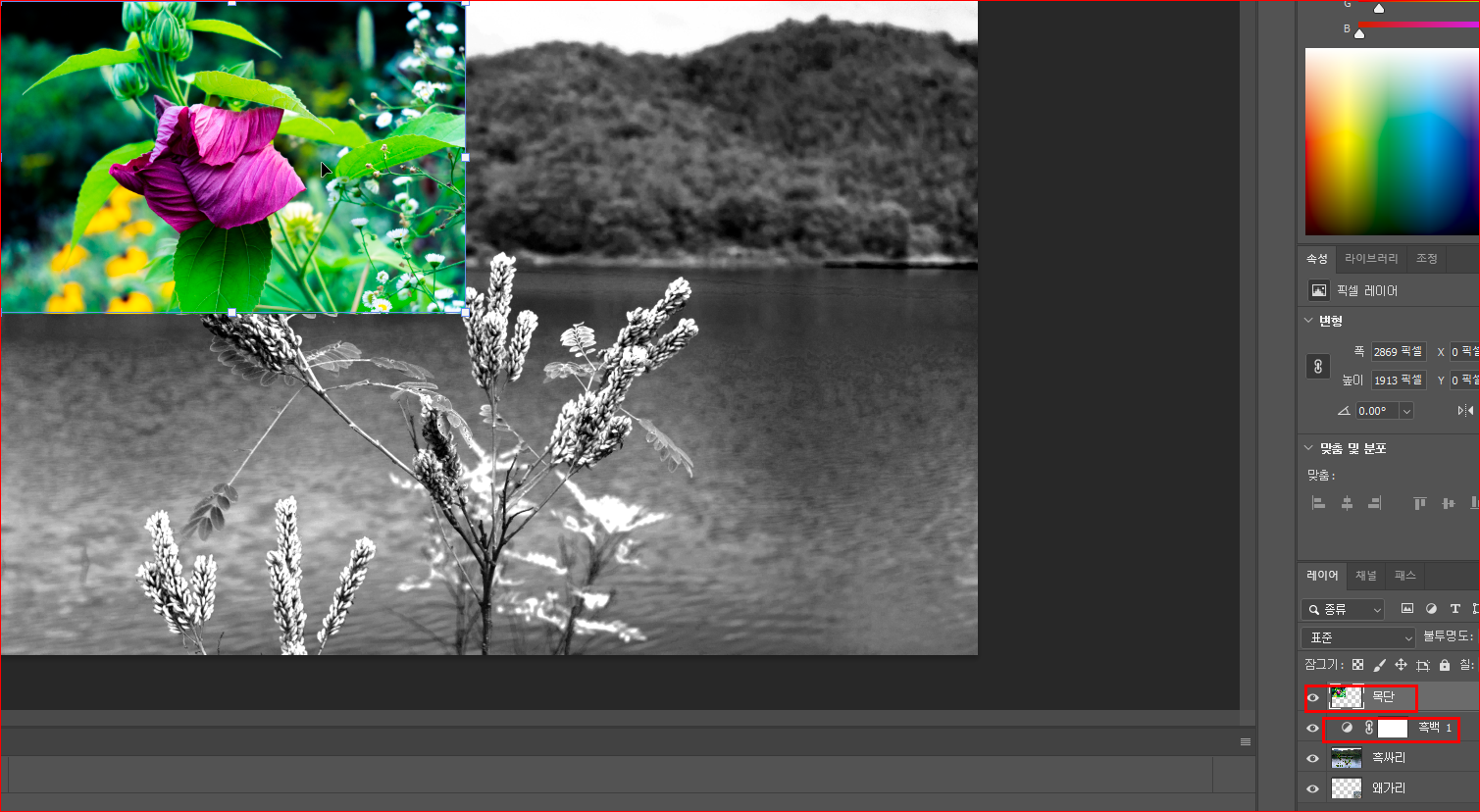 조정레이어 적용 배제 방법