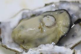 6시내고향 사천 굴구이 순애민박 위치 예약 꿀팁 대공개