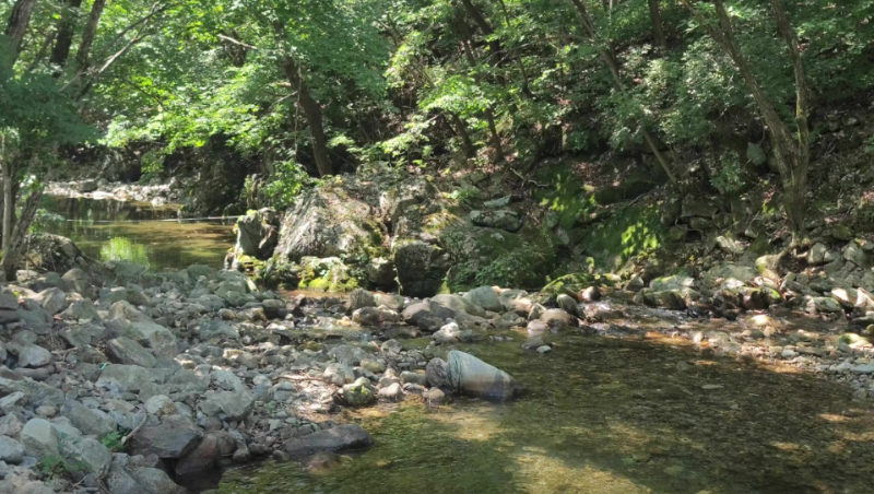 국립자연휴양림 예약