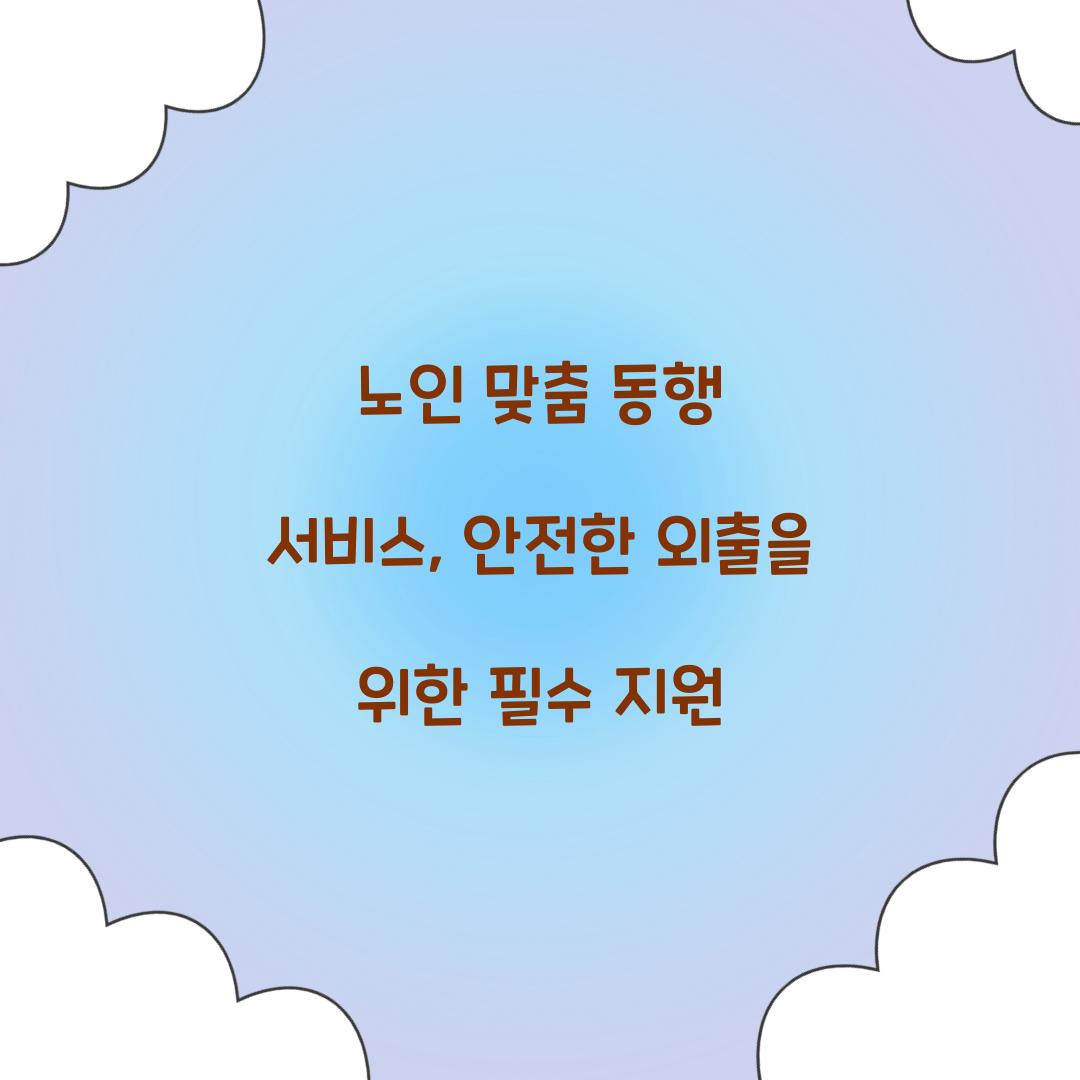 노인 맞춤 동행