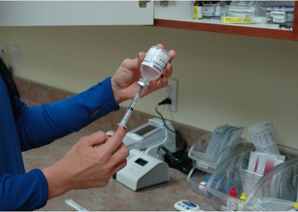 서울시 광견병 예방접종 동물병원