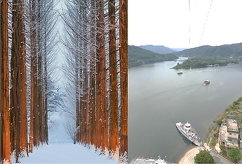 왼쪽은 춥지 않아도 얼음이 어는 자라섬 나무 숲 전경과 오른쪽은 섬 주변 바다에서 배가 드나드는 모습