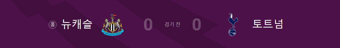 뉴캐슬 토트넘