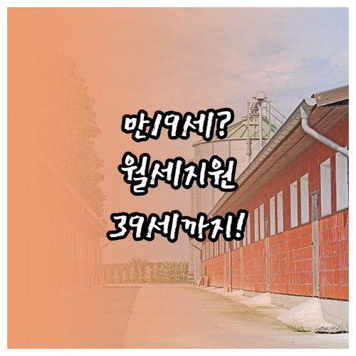만19세39세 남양주 청년 월세 지원..