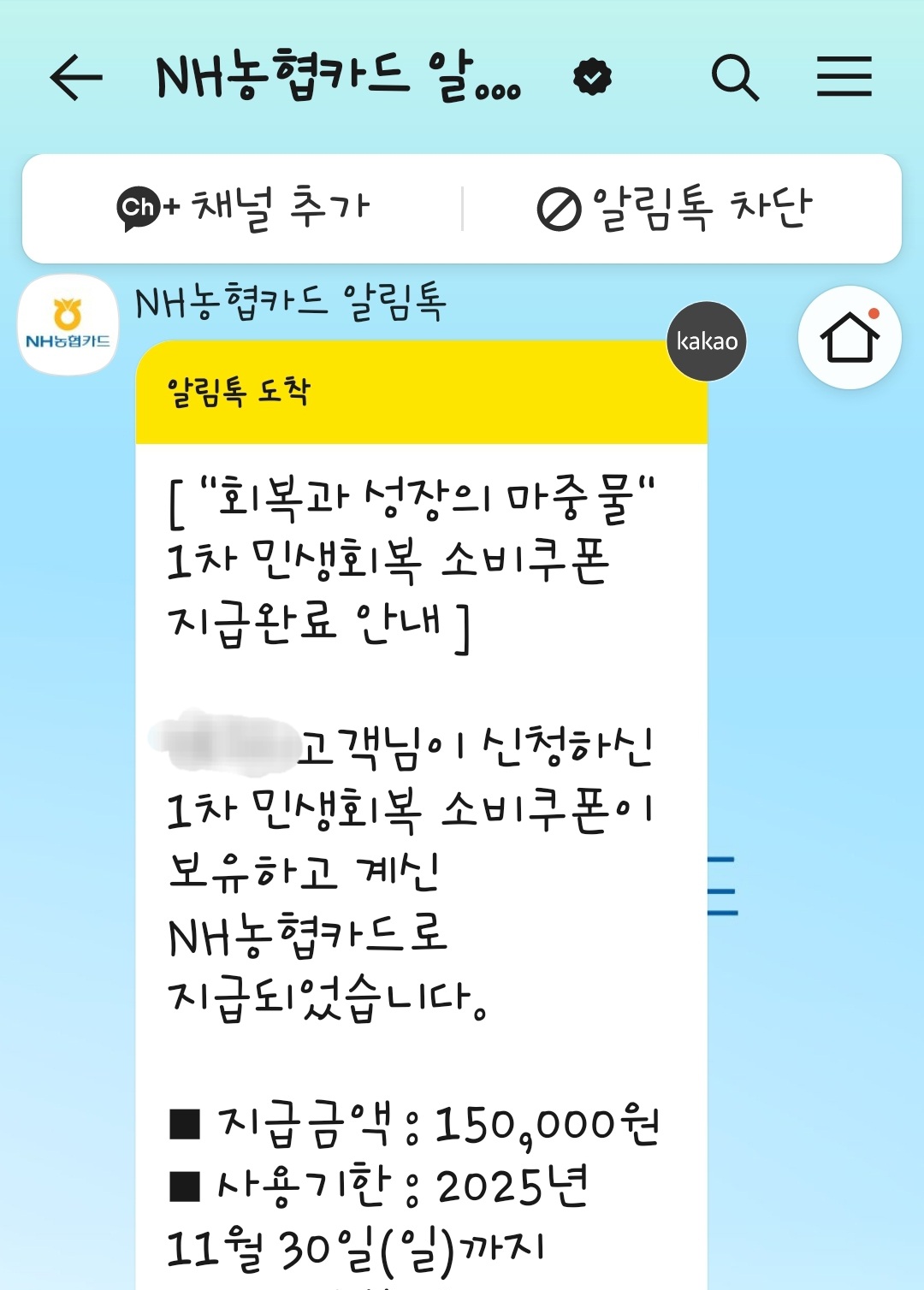 민생소비쿠폰농협체크카드23