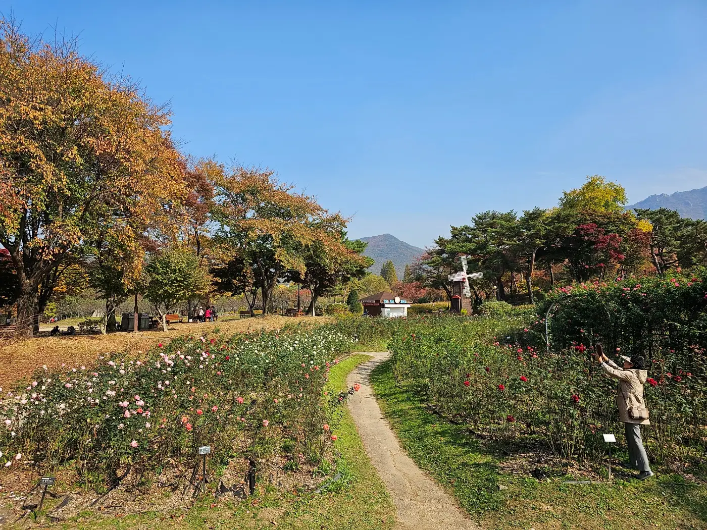서울대공원 테마가든(장미원)