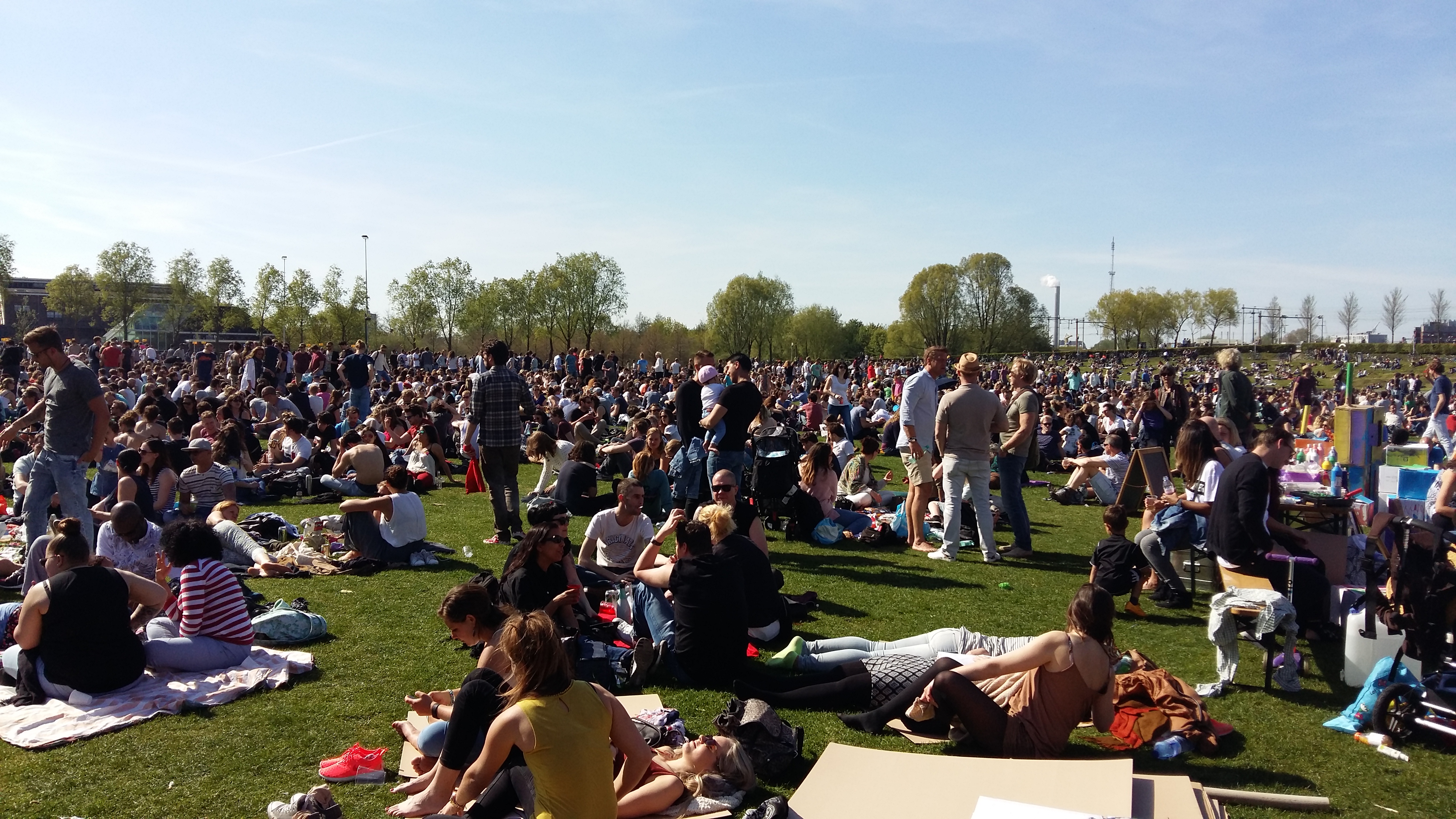 네덜란드 암스테르담 독립기념일 공원의 사람들