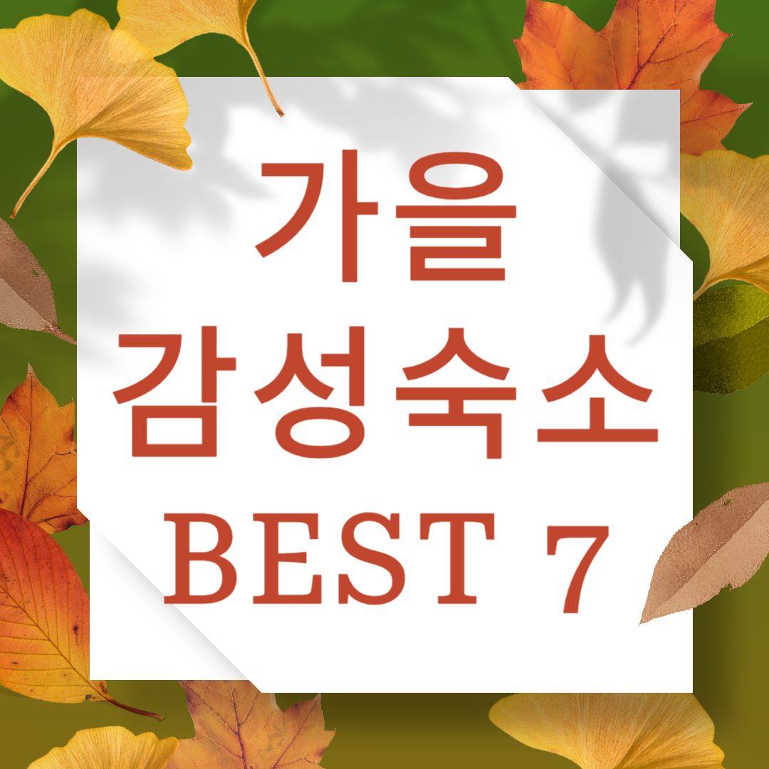 올가을 꼭 가야 할 감성숙소 BEST 7