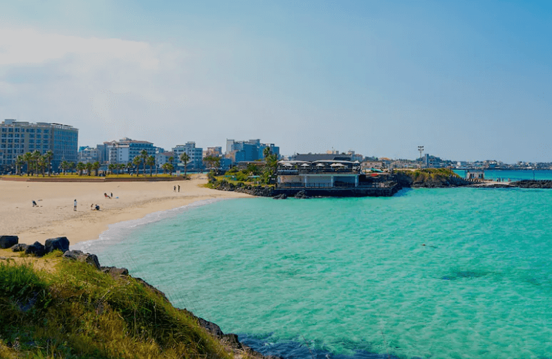 제주도 렌트카 추천 BEST 3 (실제 이용해본 곳)