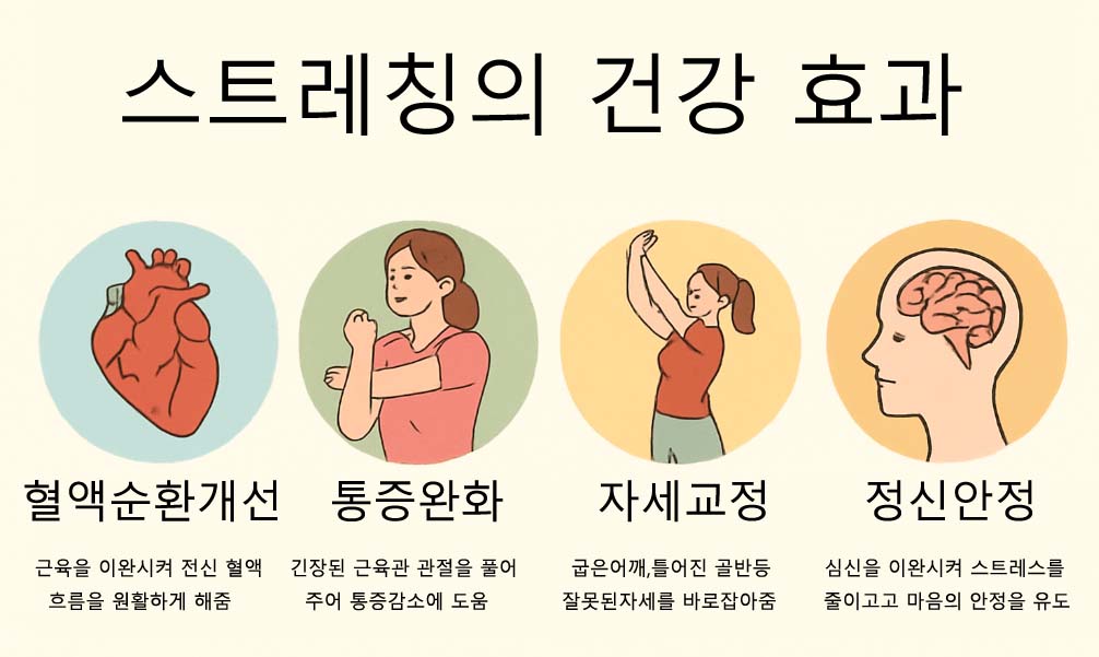 스트레칭의 건강 효과