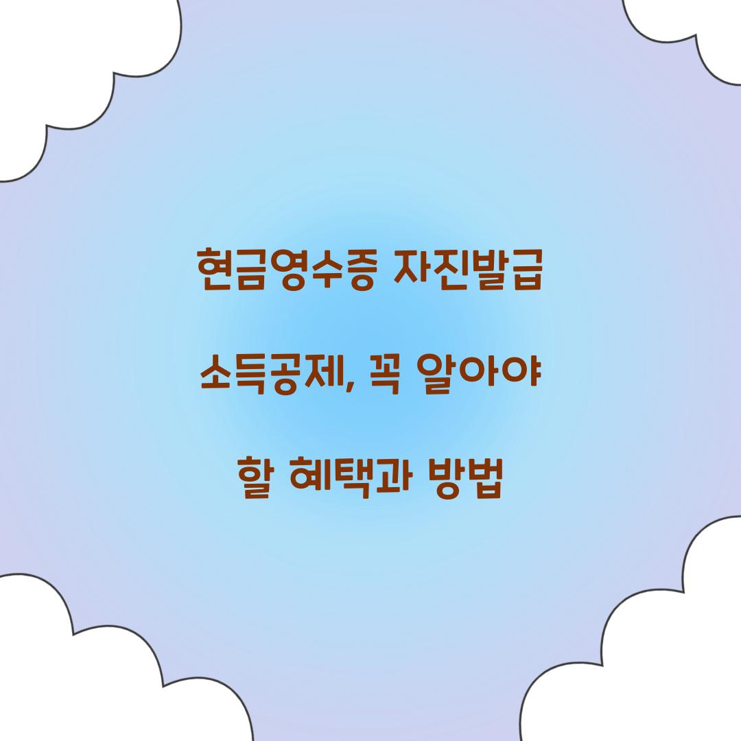 현금영수증 자진발급 소득공제