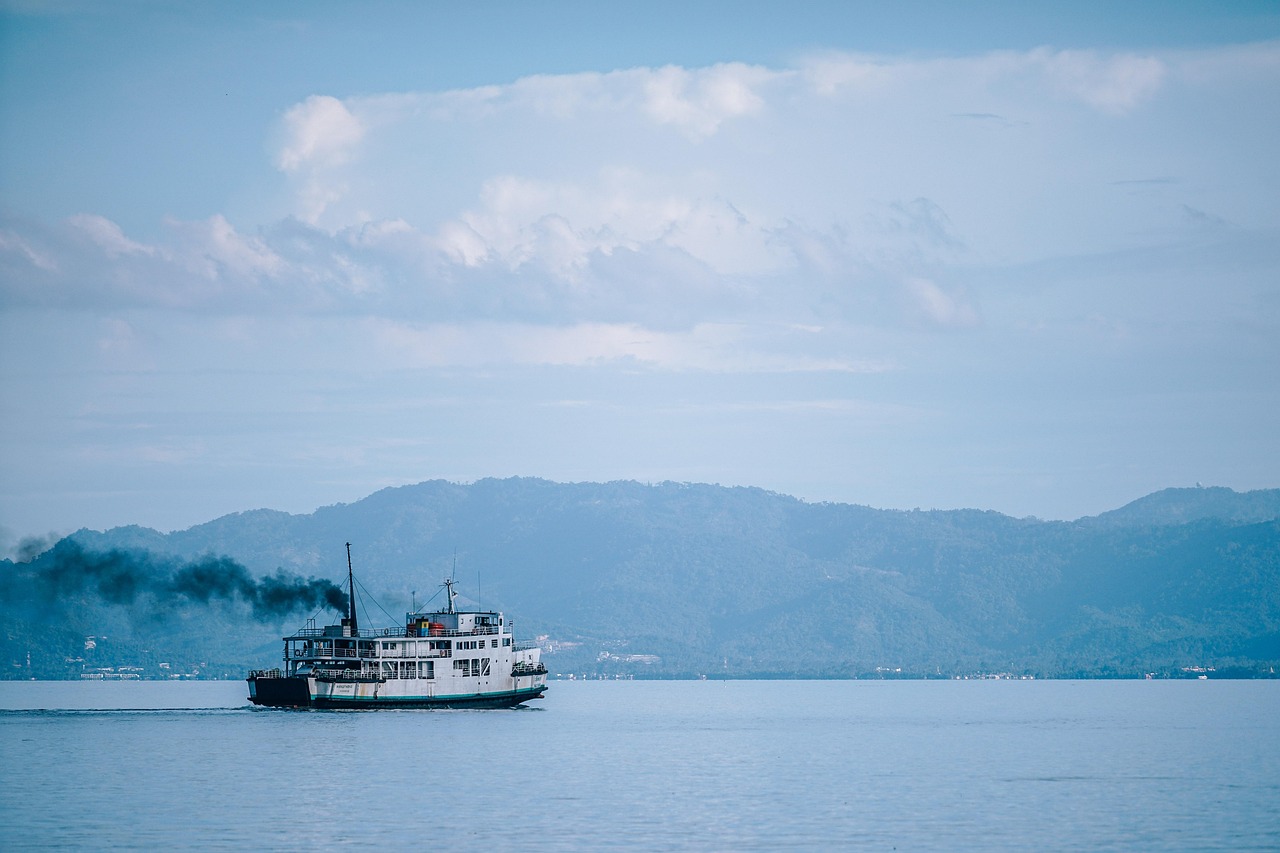바다 위에 떠 있는 배