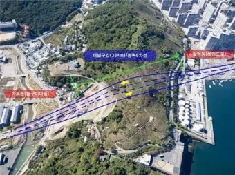 마산 해안도로 5월의 꽃 다정큼나무 산딸나무 해당화_3