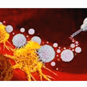 항암제 ADC 관련주 대장주 테마주 TOP5