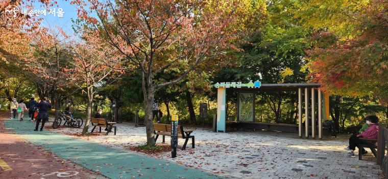 도시, 사람, 하천이 어우러진 송파둘레길이 가을 속에 펼쳐졌다.