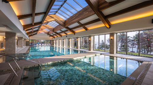 2025 강릉 경포 벚꽃축제