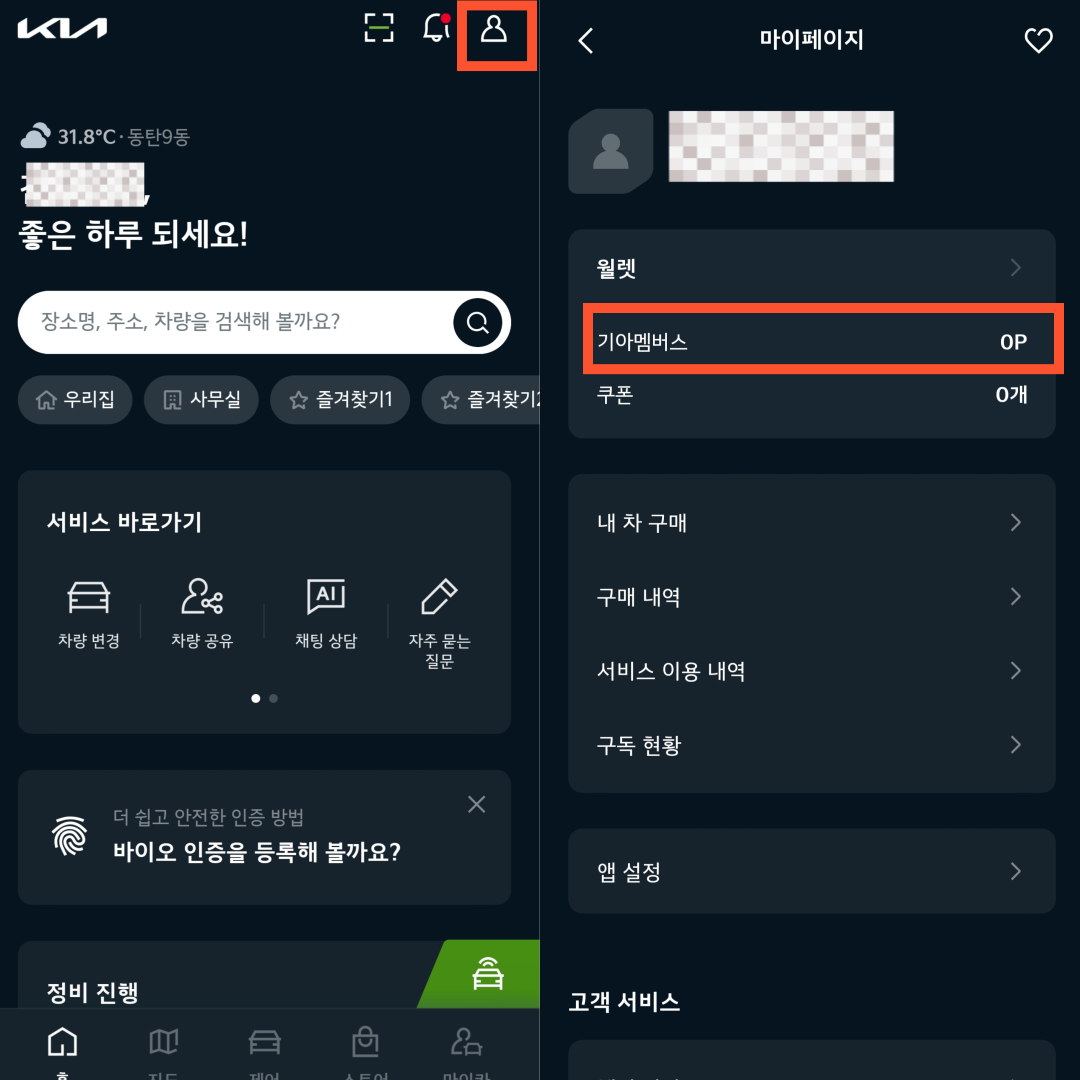 기아 포인트 조회