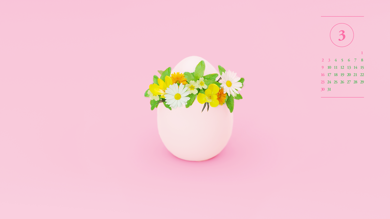 05 흰달걀과 꽃 A - 2025년3월 노트북배경화면
