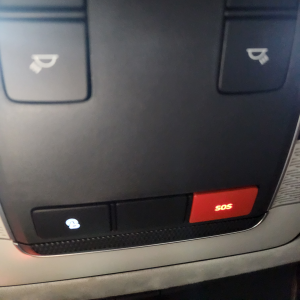 블루링크-지원-차량-확인-방법