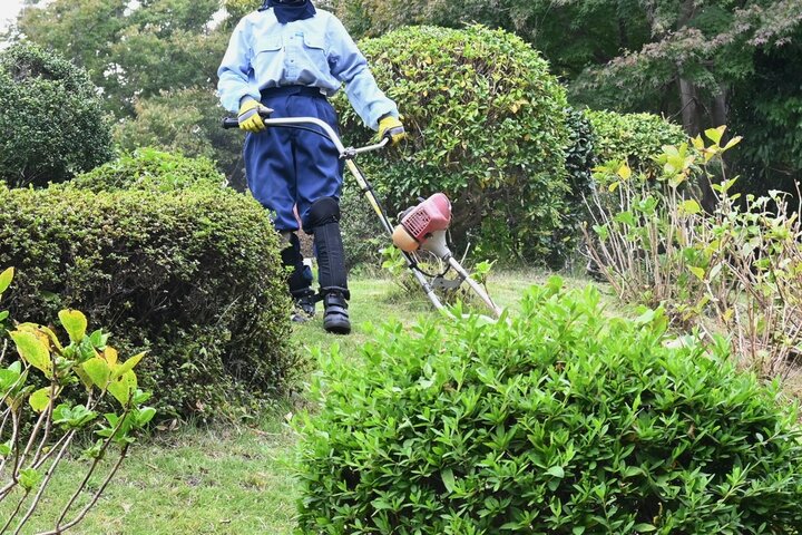 조경기능사 자격증 현실